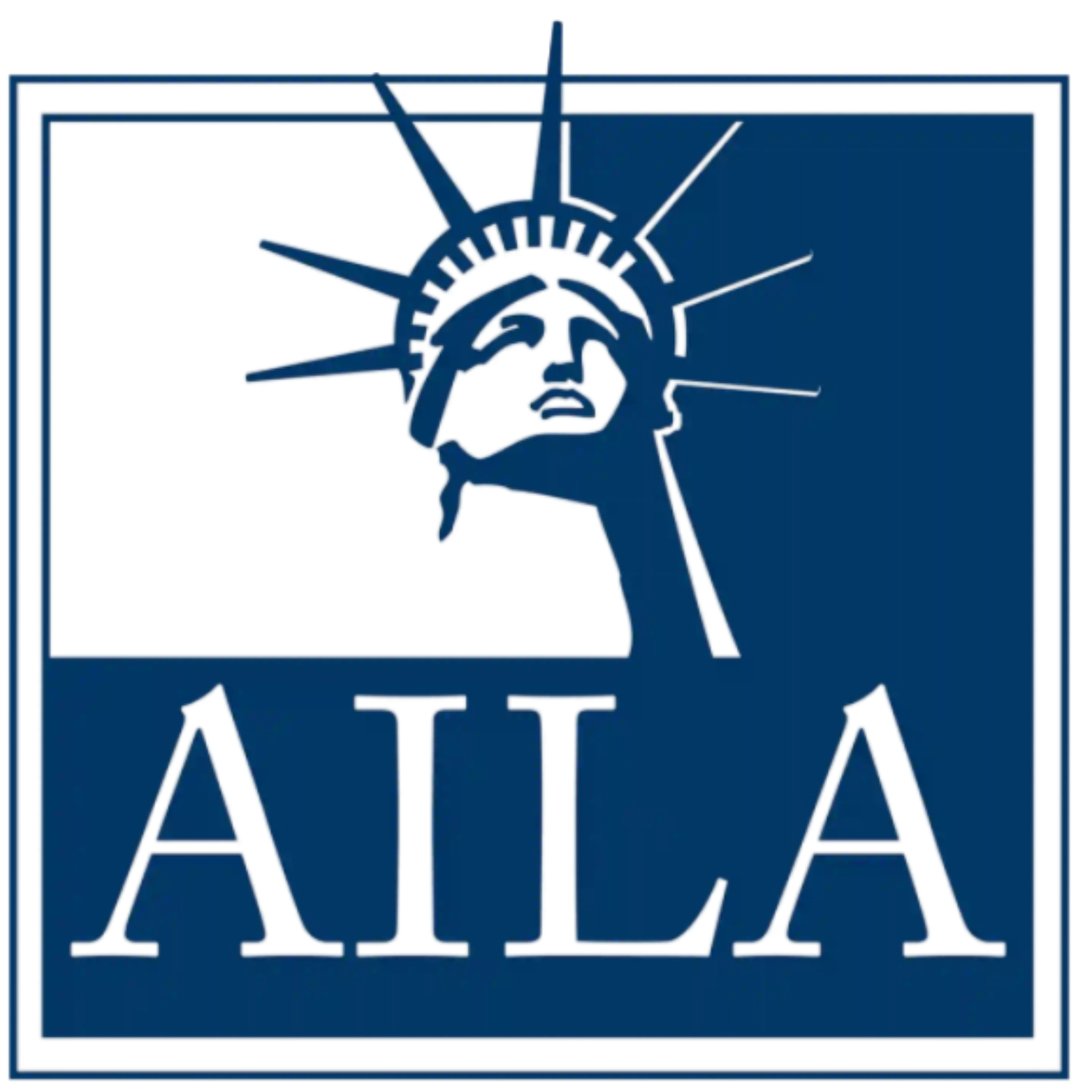 Member of the American Immigration Lawyers Association (AILA) since 2021.